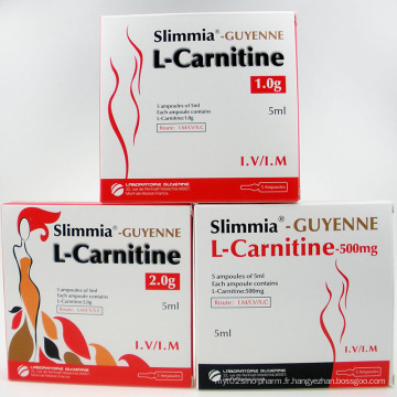 Prêt Stock Body Slimming Perte Poids 2.0g L-Carnitine Injection